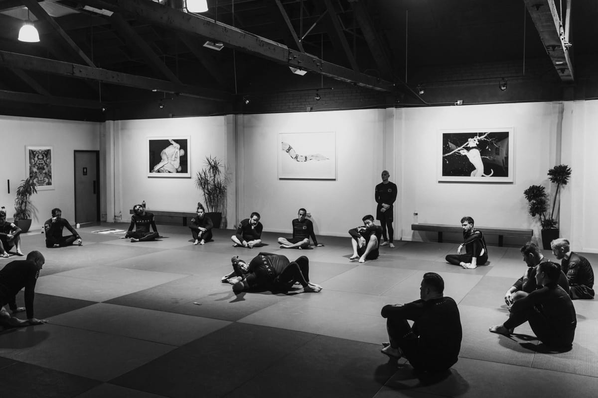 Starting an ecological jiujitsu academy, what and why is this blog?